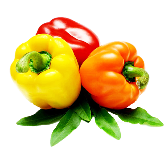 Низкоуглеводные диеты – Мария Ершова