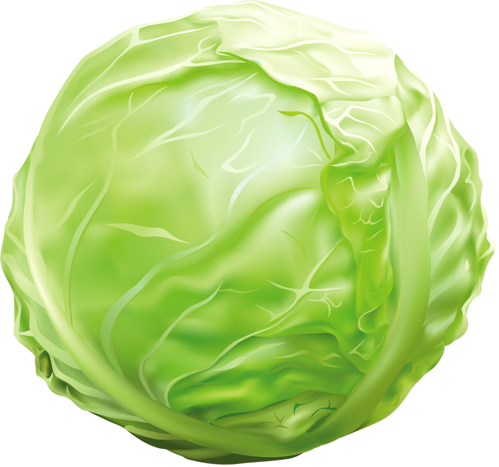 Низкоуглеводные диеты – Мария Ершова